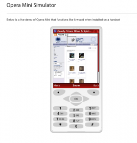 website as seen by opera mini